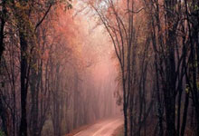 开云体育官方网站-威廉姆斯鏖战阿斯顿马丁，塞恩斯状态火热