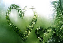 开云官网-魔术客场力克上海，武切维奇刷新个人得分纪录